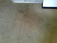 before we cleaned a customer's carpet